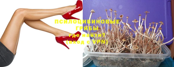 spice Заволжье