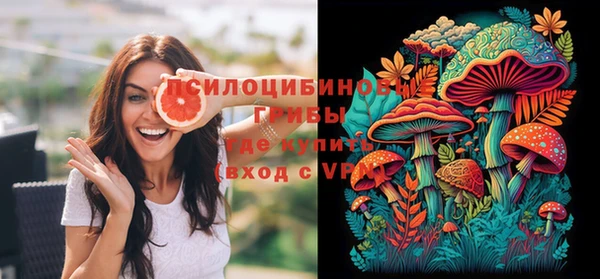 мдпв Заводоуковск