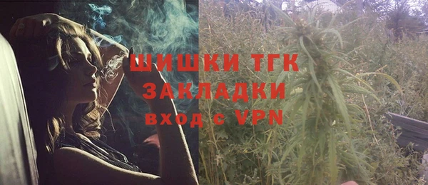 мдпв Заводоуковск