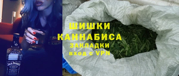мдпв Заводоуковск