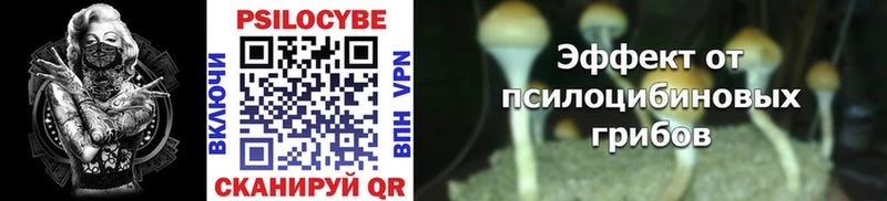 где продают   ссылка на мегу как войти  Псилоцибиновые грибы Cubensis  Кущёвская 